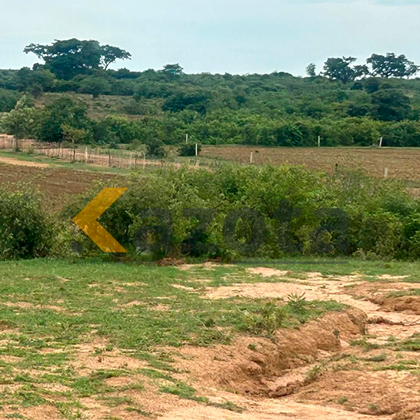 Fazenda Agropecuária com 8.300 Hectares – Gambos, Huíla