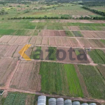 Fazenda Agropecuária 1.500 Hectares – Kibala, Kuanza-Sul