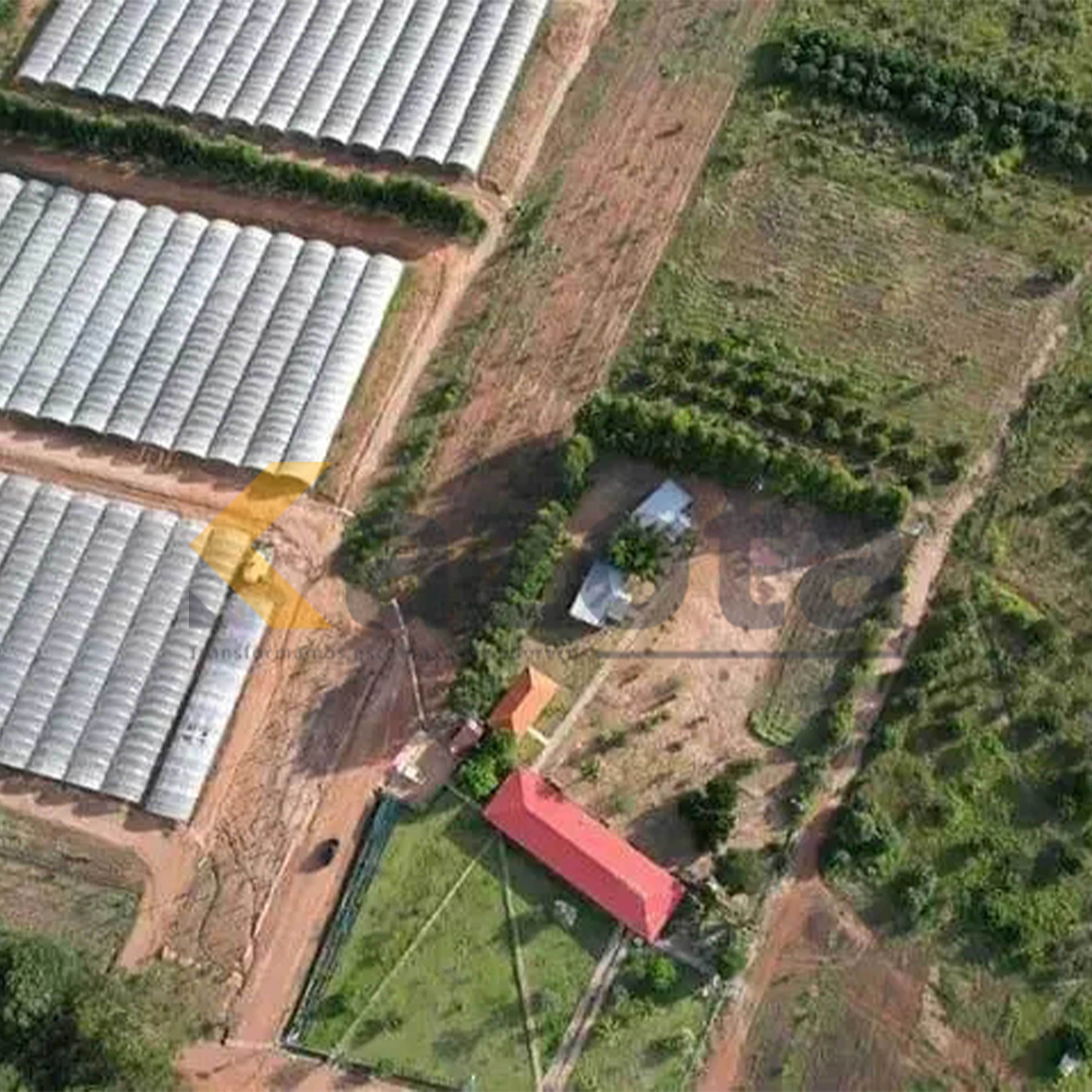 Fazenda Agropecuária 1.500 Hectares – Kibala, Kuanza-Sul