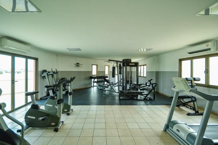 thumb-830x480-04930e7f7619f7b13d7bac68f16caa23