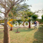 Fazenda 4 Hectares – Estrada de Catete (Próximo ao Novo Aeroporto)