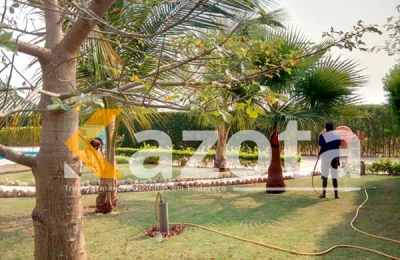 Fazenda 4 Hectares – Estrada de Catete (Próximo ao Novo Aeroporto)