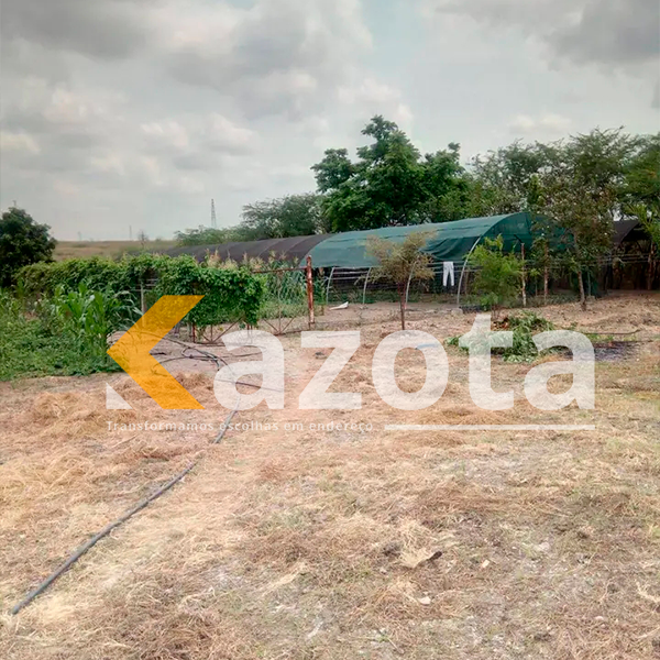 Fazenda 4 Hectares – Estrada de Catete (Próximo ao Novo Aeroporto)