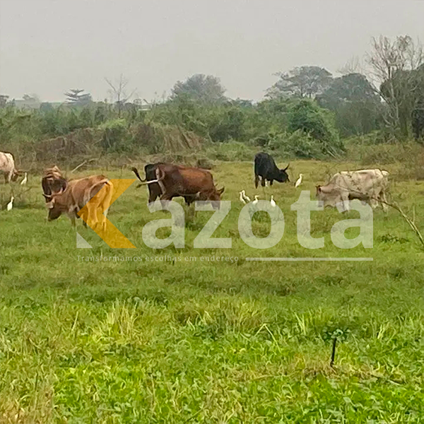 Fazenda 33 Hectares com Duas Vivendas – Caxito, Bengo